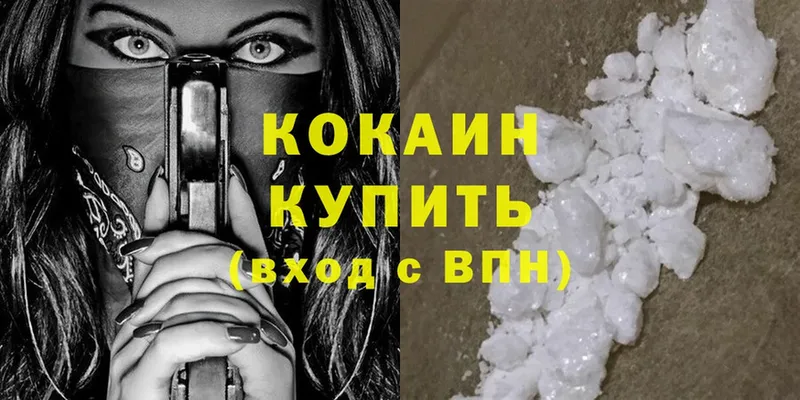 как найти   Богородск  Cocaine Боливия 